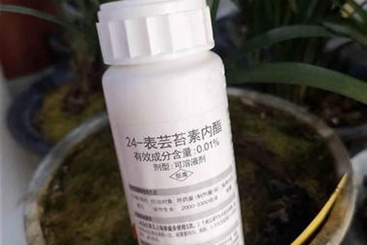 苯甲吡唑酯喷兰花多久见效