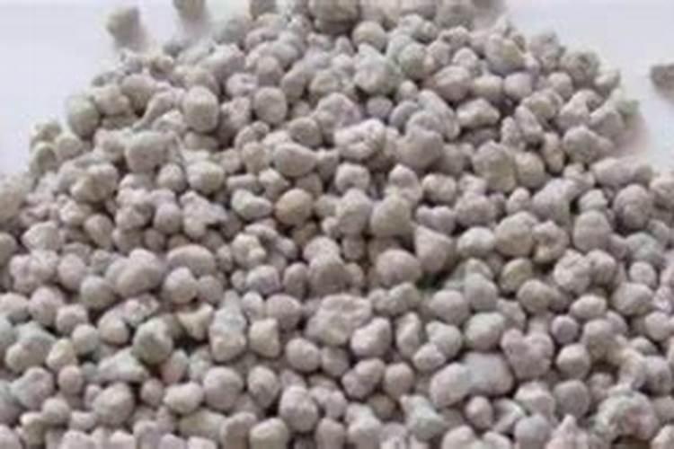 葡萄膨大期使用什么肥料？