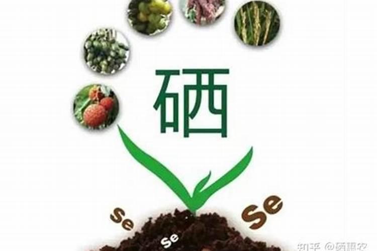 复混肥设备的龙头企业是哪家？