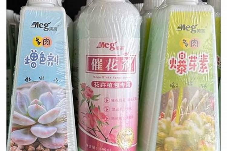 馒头如何做花肥