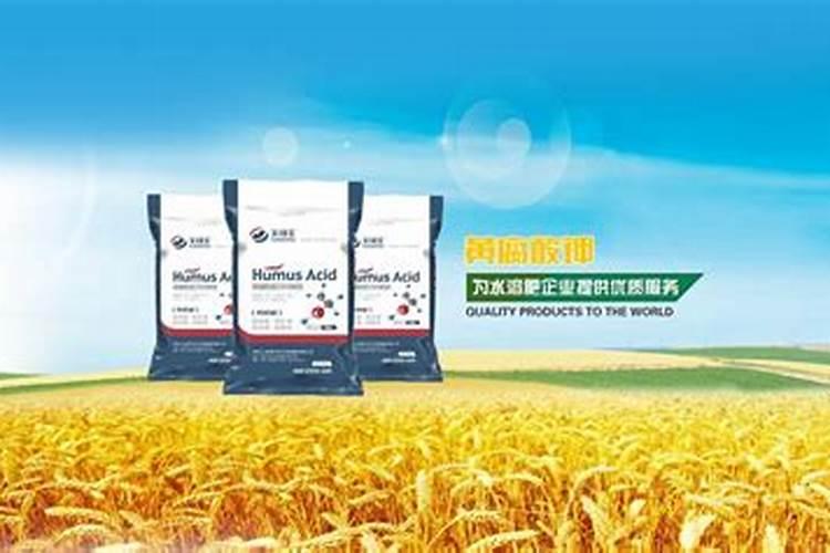 纽翠绿全效腐植酸复合肥有什么特点？
