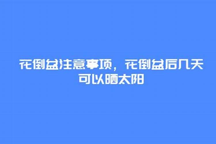 怎样给盆栽桂花施肥