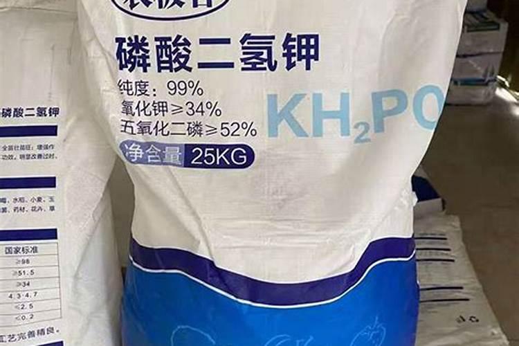 蔷薇花叶子发黄怎么办,蔷薇花叶子发黄解决办法