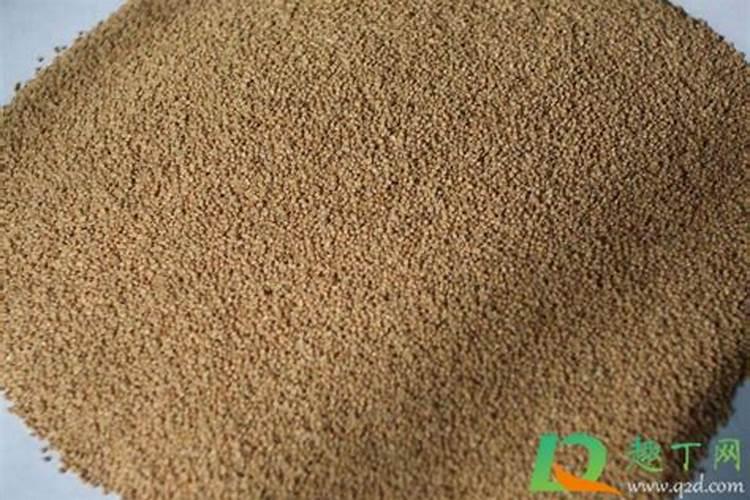 核桃壳能直接做肥料养花吗