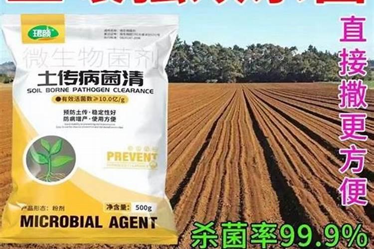 过磷酸钙会烧根吗？