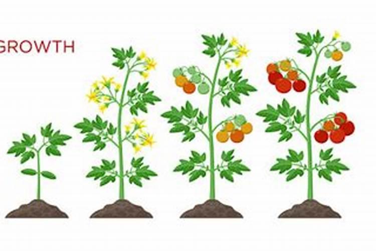 汶川地震的感人小故事,并说出他的名字