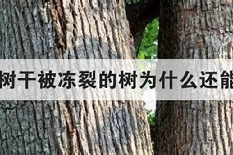 磷肥一亩地用多少