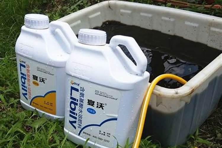 打完除草剂多久可以打叶面肥