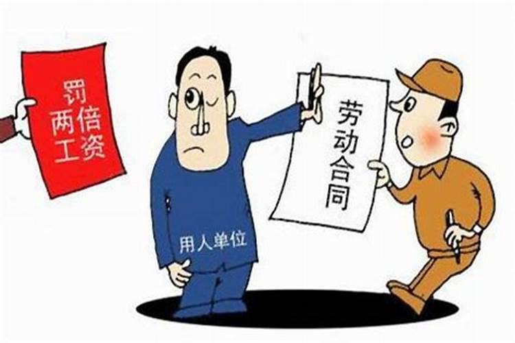 喀什若荷兰农资有限公司怎么样？