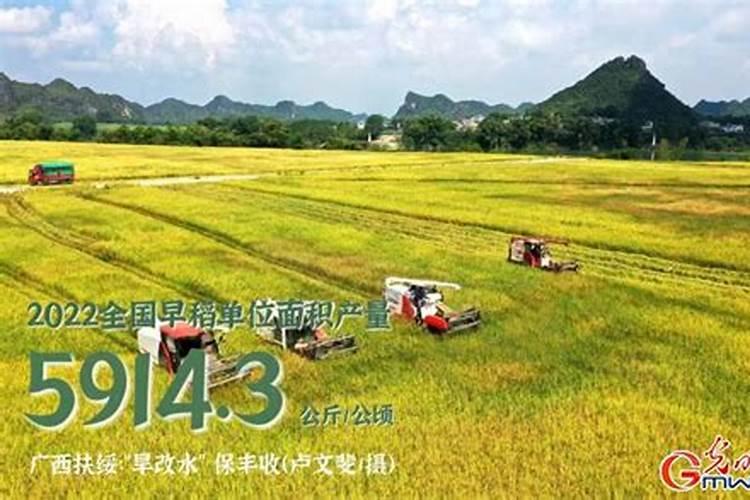 花椒花期是什么时候