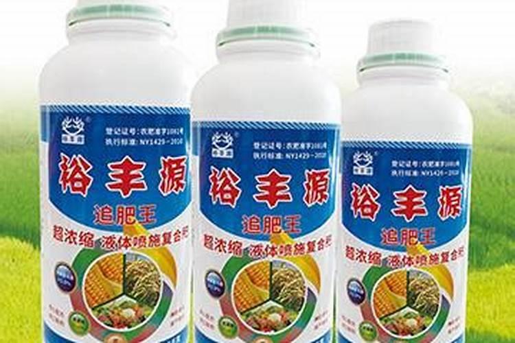 蟹爪兰叶面喷什么肥好