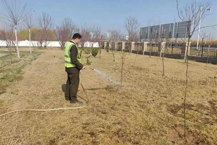 春季给苗木施肥,这几点很重要!