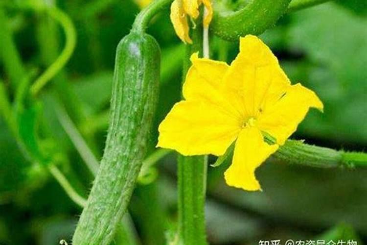 手冲咖啡磨粉粗细