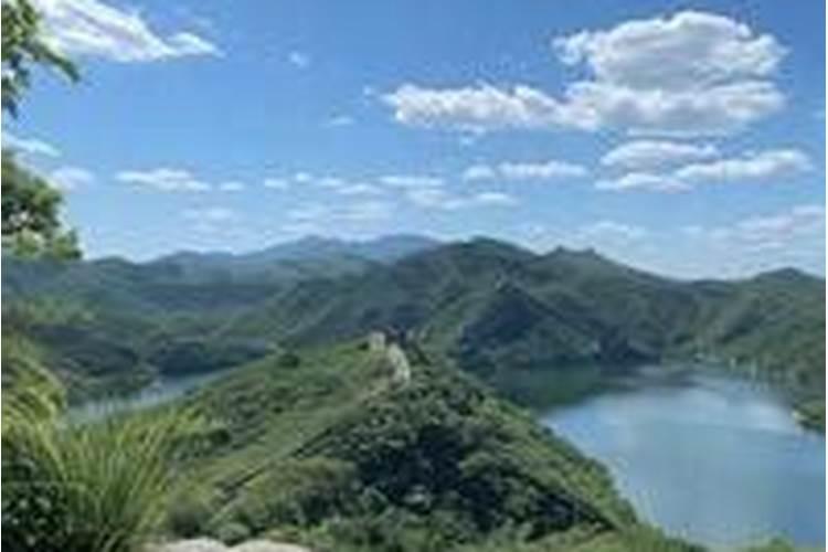 纯硫基和硫酸钾型的区别