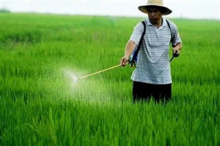 中交二公局东萌工程有限公司华漕镇地址