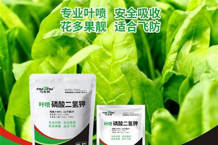 柚子开花时打保花保果用什么药？