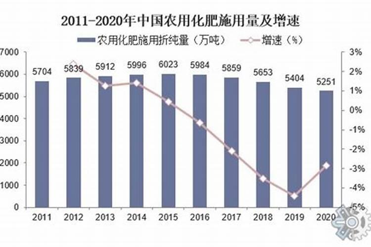 大蒜追肥的最佳时间