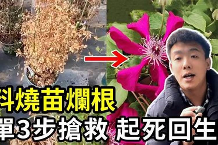 怎样知道生花生米坏了