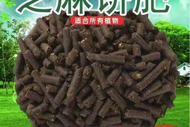 叶面肥施用过程中需要注意哪些技术要点