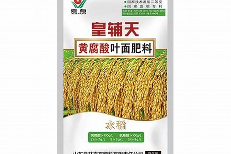 多肉叶片可以浇水吗