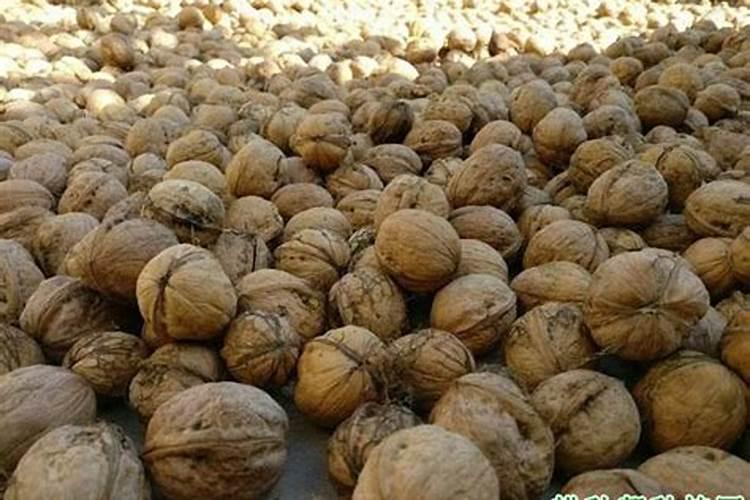 中国粉条十大粉条品牌