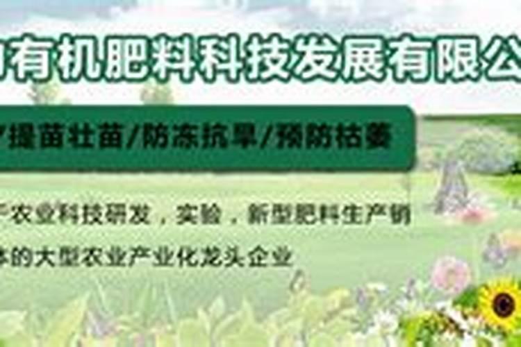 镁镁的制备