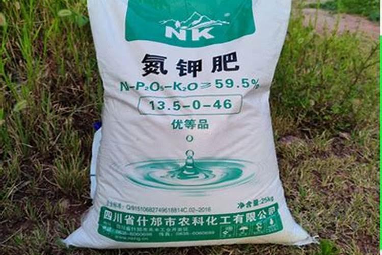 青储玉米制作注意事项