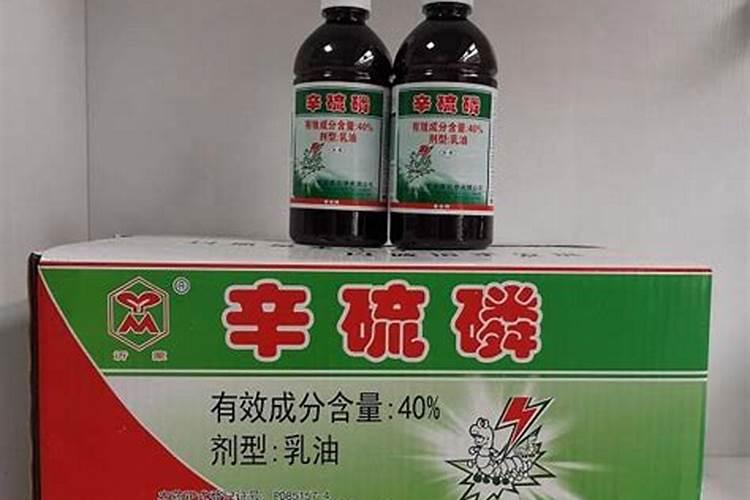 我家的金银花今年怎么大面积死亡呢,叶子样子见下面的图片,这是虫害呢还...