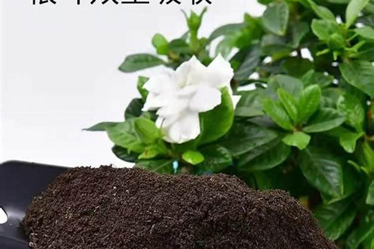 活化磷肥的使用方法
