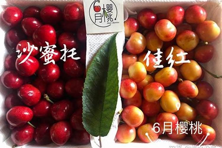 大樱桃结果后能不能用大量元素水溶肥？