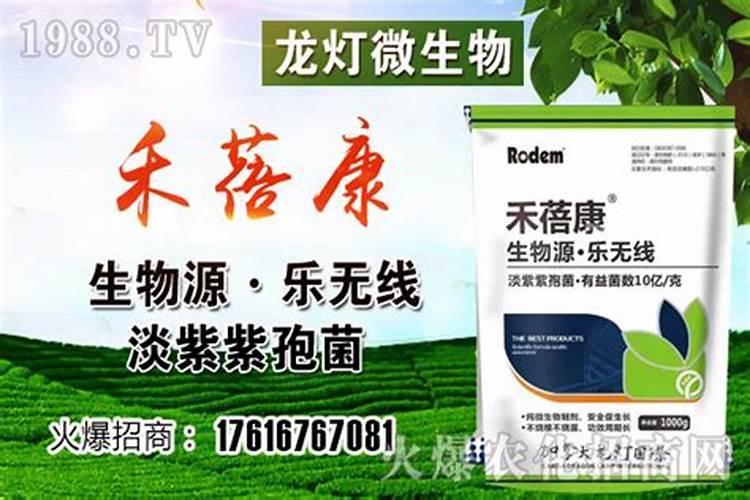 鱼蛋白叶面肥能和乙蒜素混用吗？