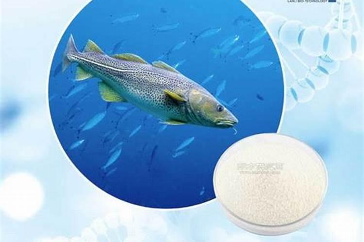 青化钾可以买得到吗？