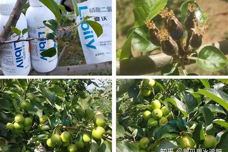 长治市金泽生物工程有限公司怎么样