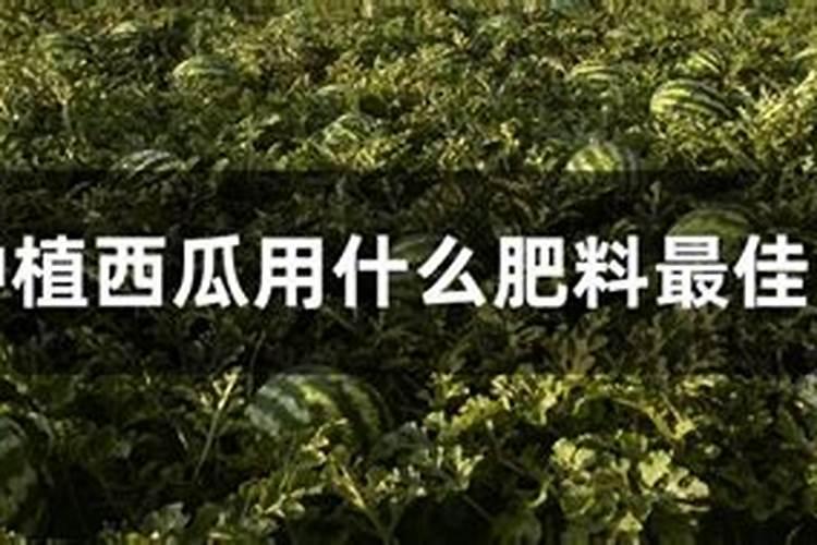 复合肥浇花兑水比例是多少