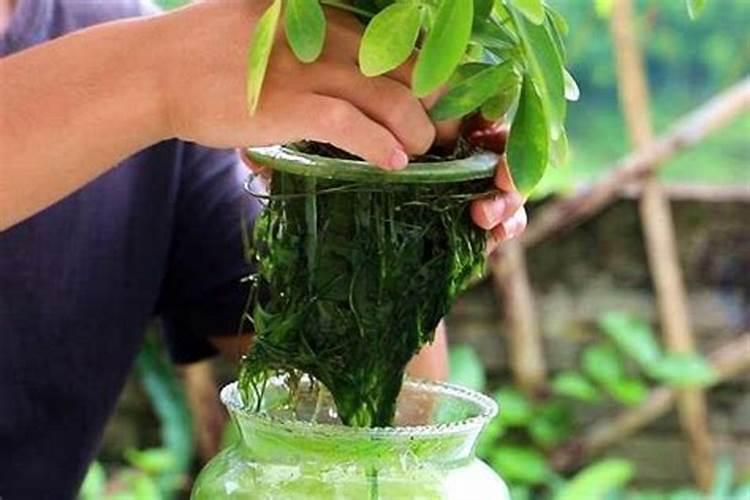 复合肥水肽作用(氨基酸型)北农优牧水产用