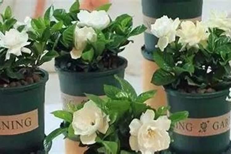 2000目砂纸可以给大理石抛光吗