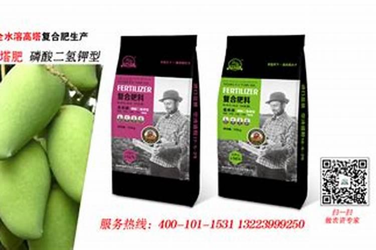 种芒果施什么肥