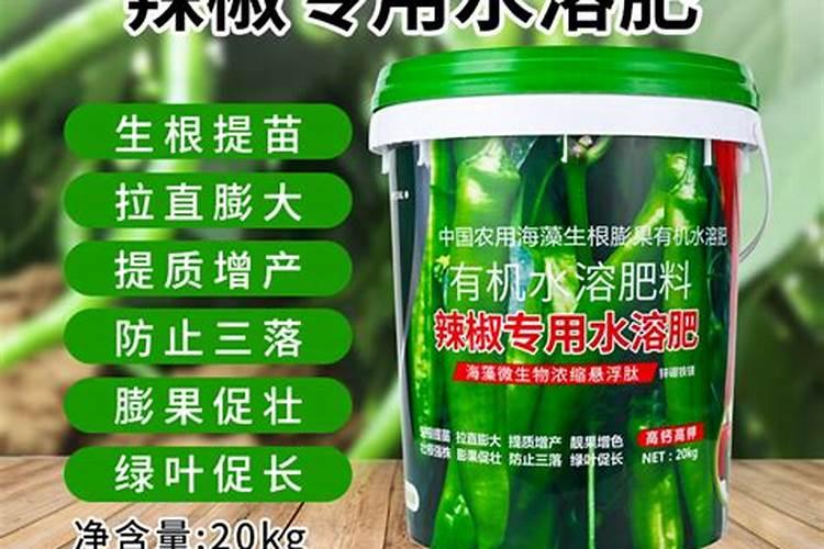 蓝莓树结果后施什么肥料使果子好t