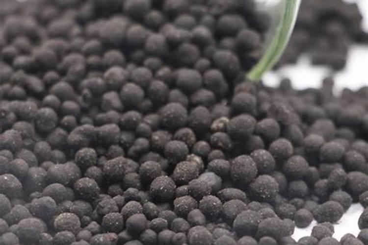 果树喷施硼肥时可兑多菌灵吗