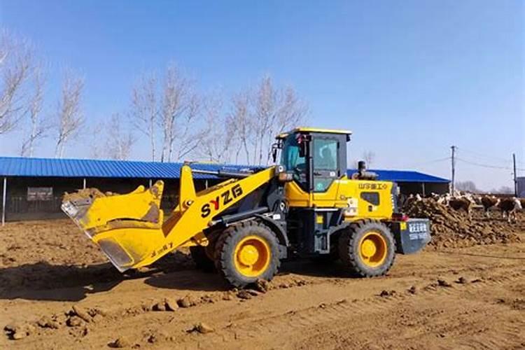 水培绿萝用什么肥料