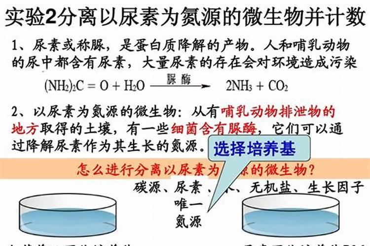 氮肥为什么叫尿素
