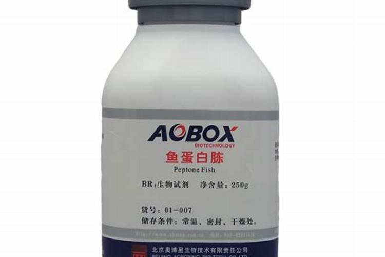 一米高的南天竹多少钱一株