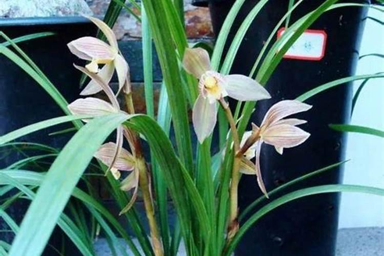 新型不锈钢防盗网厂家 最优质的产品推荐