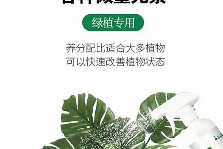 喷过量的叶面肥种植物会怎么样？