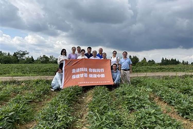 红薯用磷酸二氢钾可以控旺吗