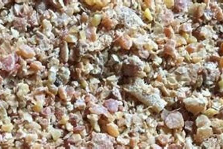 豆饼可以直接做底肥吗