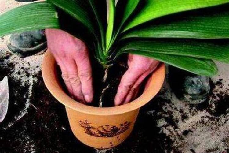 如何鉴别磷肥,钾肥,氮肥