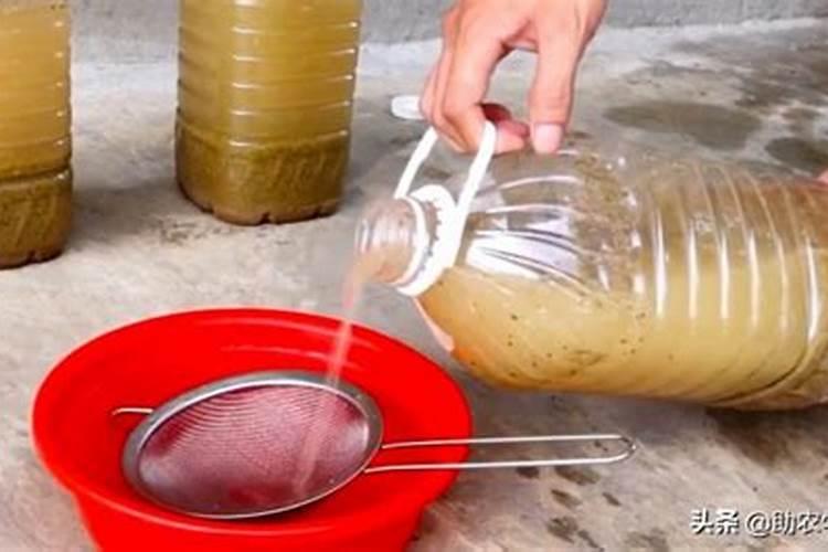 黑草木灰在岭南地区每亩田需要多少最好