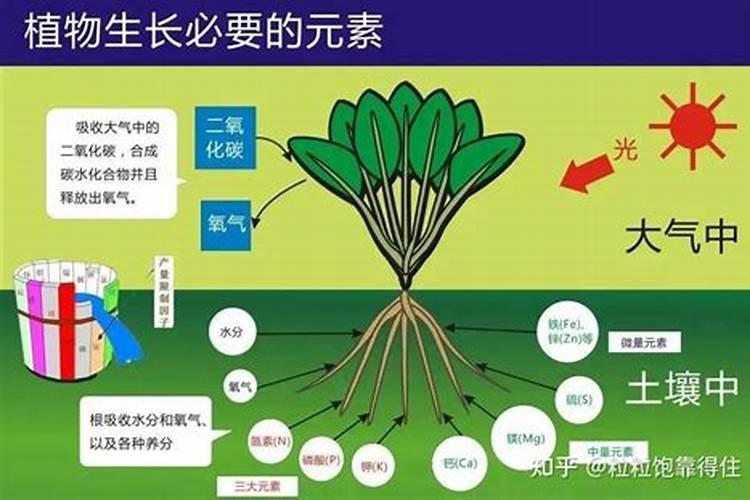 牛膝壮根灵,壮根灵厂家批发,状根灵多少钱,牛膝壮根灵用“昆仑风”百度...