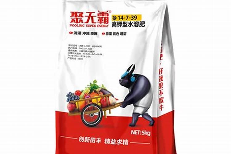 面对091沃柑冒出超多春梢的情况怎么应对？